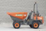 AUSA D 250 AHGA 2008 года